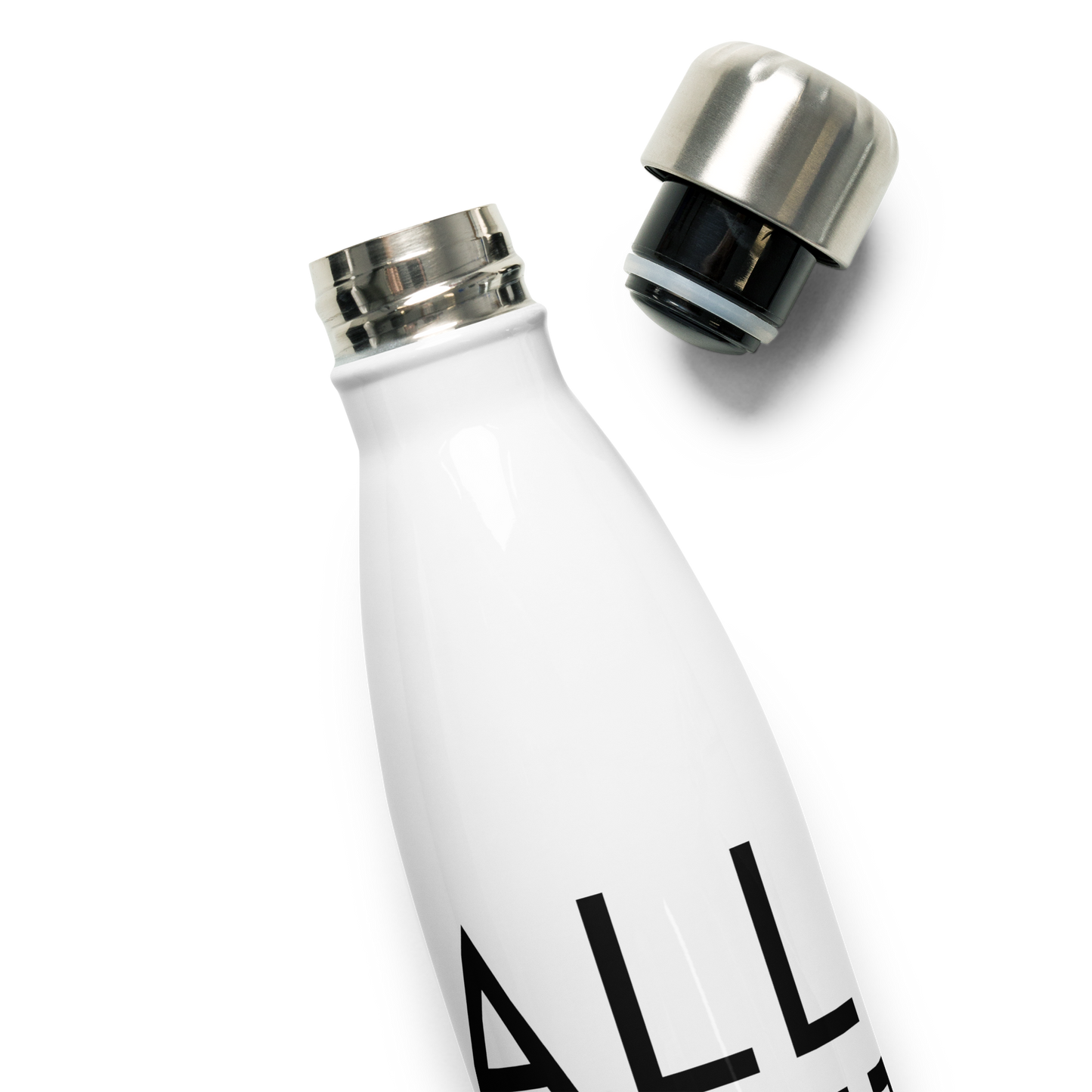 Stainless Steel Water Bottle